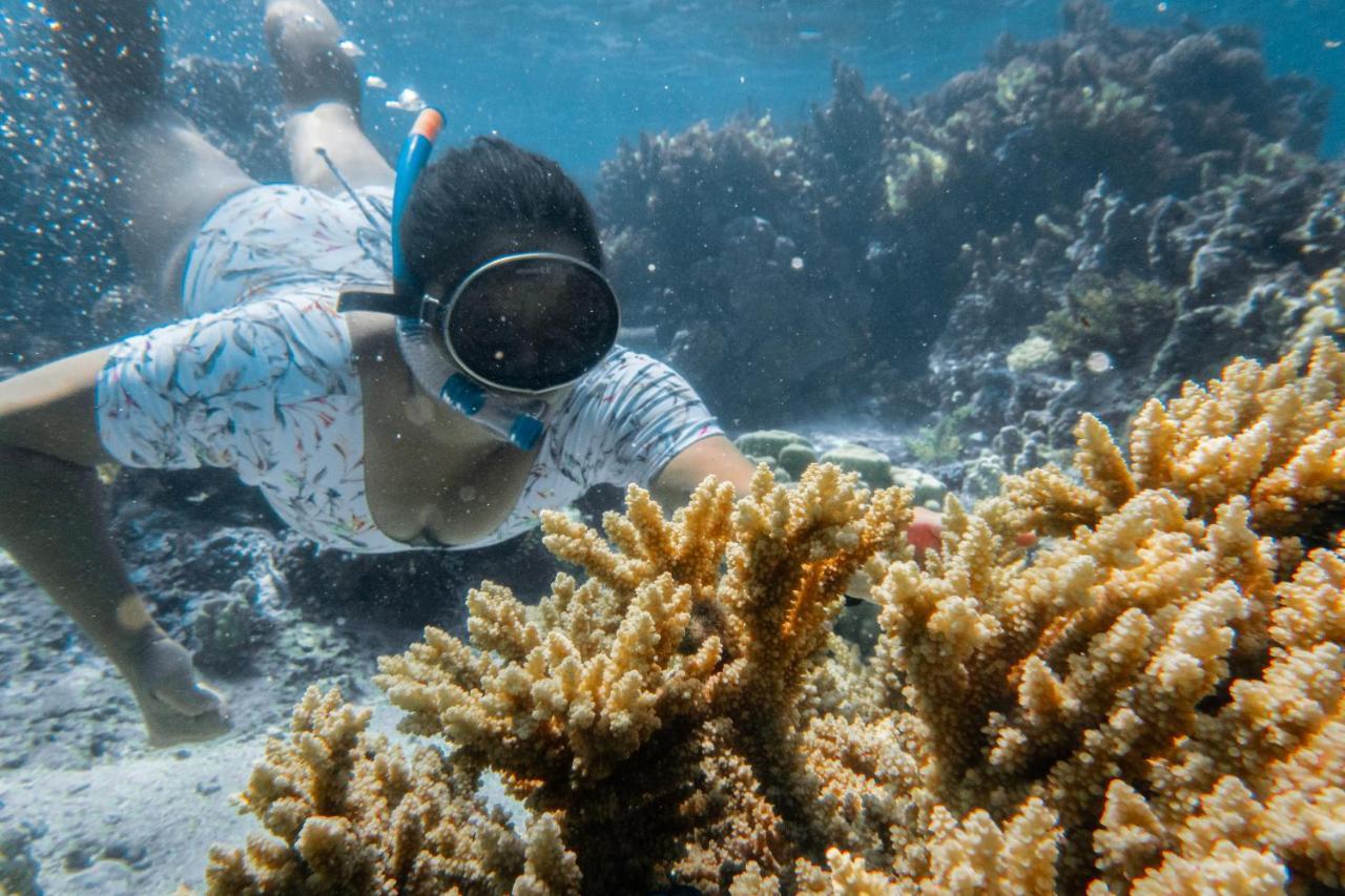 Manomano Lodge Papara المظهر الخارجي الصورة